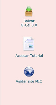 Clique aqui para acessar o site do MIC